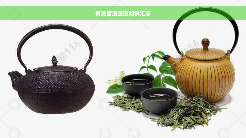 有关普洱茶的知识汇总