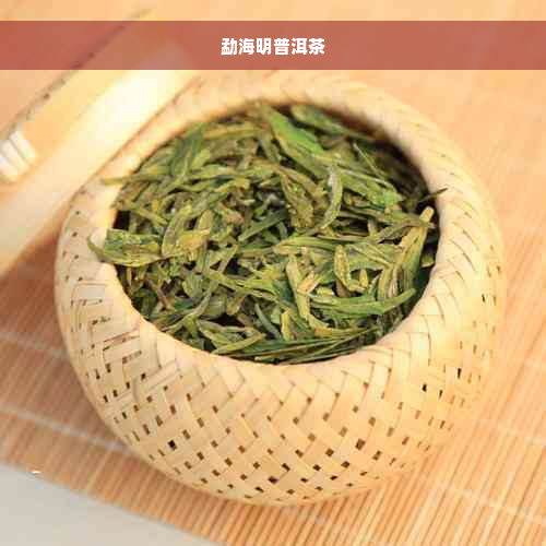 勐海明普洱茶