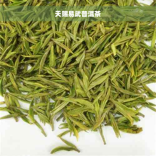 天赐易武普洱茶