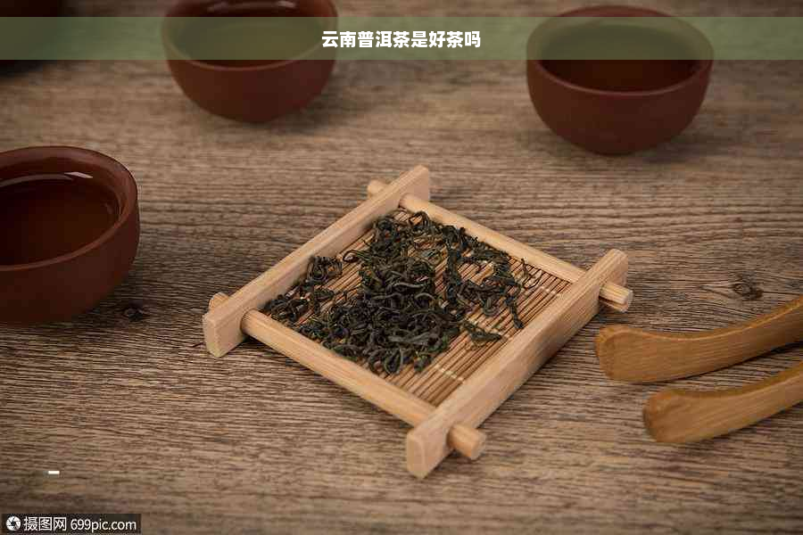 云南普洱茶是好茶吗