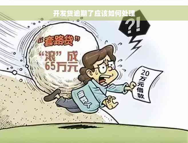 开发贷逾期了应该如何处理