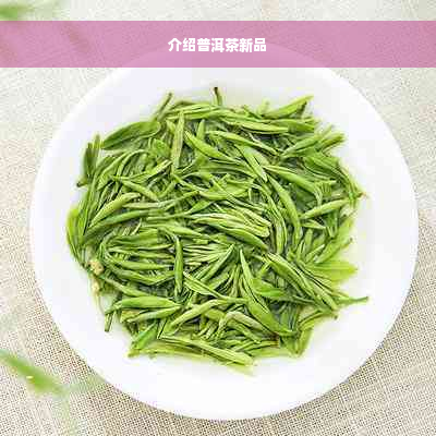 介绍普洱茶新品