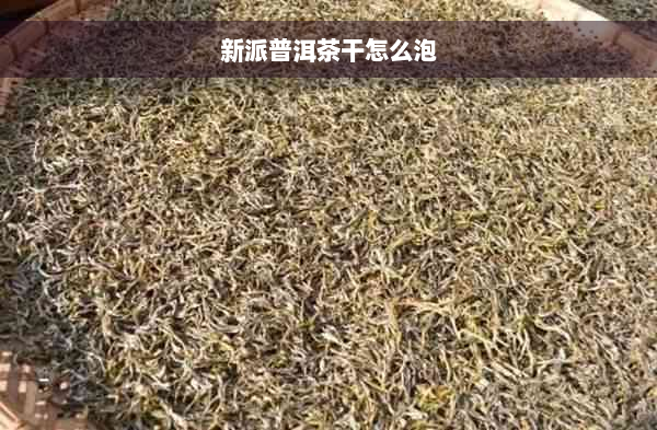 新派普洱茶干怎么泡