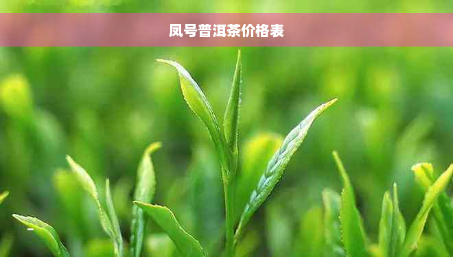 凤号普洱茶价格表