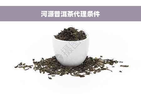 河源普洱茶代理条件