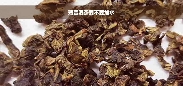 熟普洱茶要不要加水