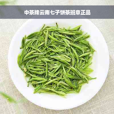 中茶牌云南七子饼茶班章正品