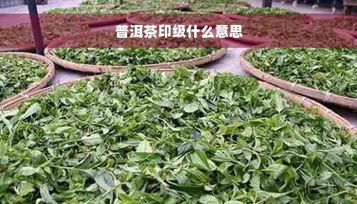 普洱茶印级什么意思