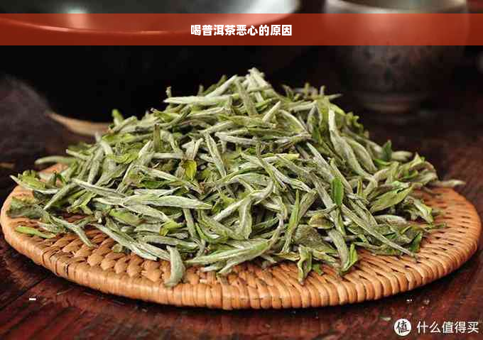 喝普洱茶恶心的原因