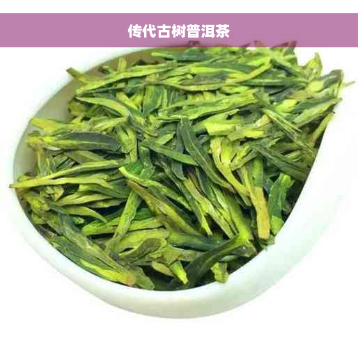 传代古树普洱茶