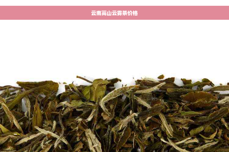 云南高山云雾茶价格