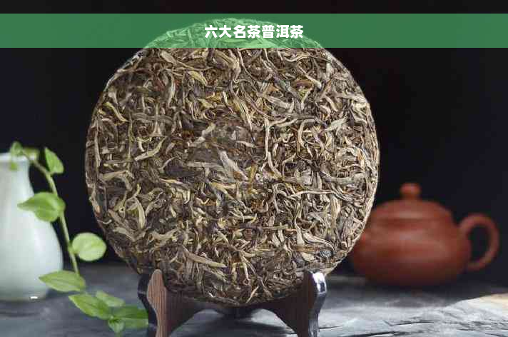 六大名茶普洱茶