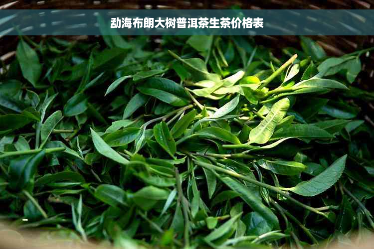 勐海布朗大树普洱茶生茶价格表