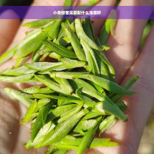 小青柑普洱茶配什么泡茶好