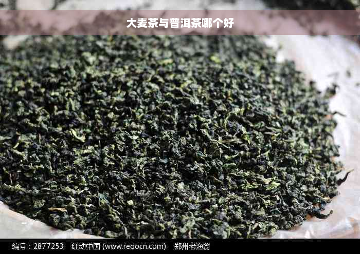 大麦茶与普洱茶哪个好