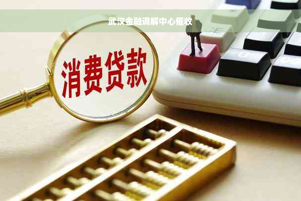 武汉金融调解中心催收