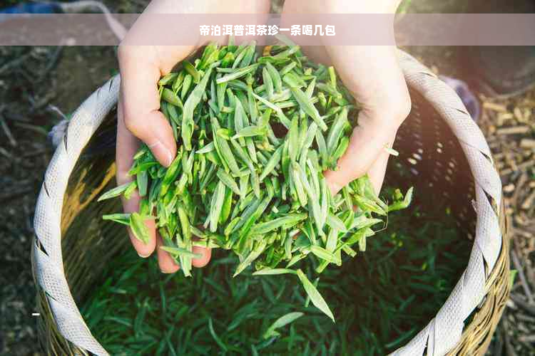 帝泊洱普洱茶珍一条喝几包