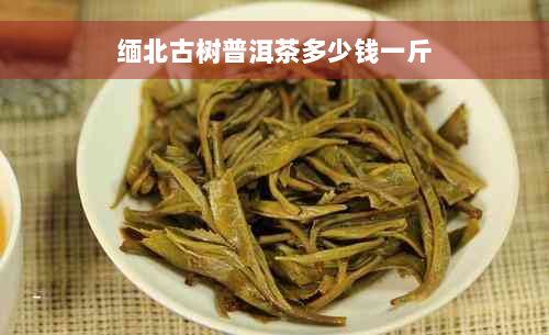 缅北古树普洱茶多少钱一斤