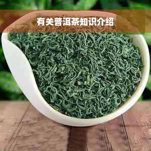 有关普洱茶知识介绍