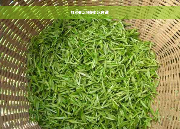 红茶5克泡多少水合适