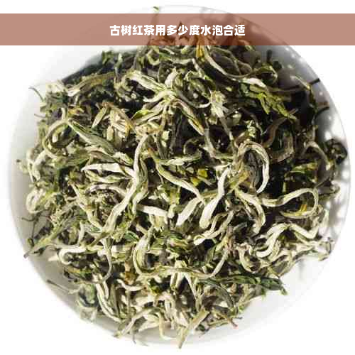 古树红茶用多少度水泡合适