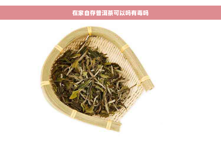 在家自存普洱茶可以吗有毒吗