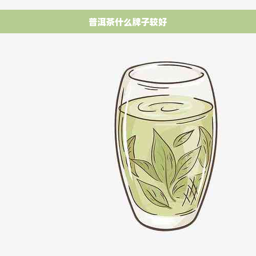 普洱茶什么牌子较好