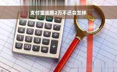 支付宝逾期2万不还会怎样