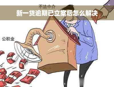 新一贷逾期已立案后怎么解决