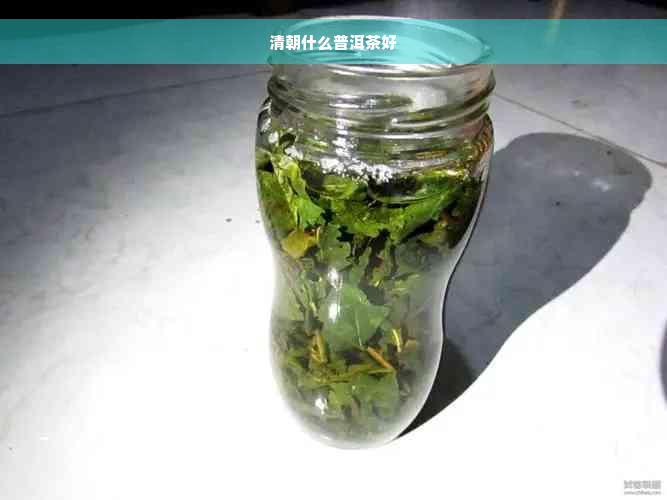 清朝什么普洱茶好