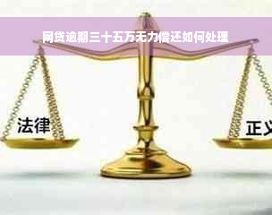 网贷逾期三十五万无力偿还如何处理