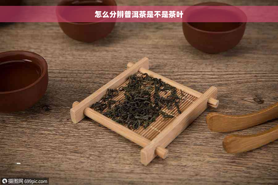 怎么分辨普洱茶是不是茶叶