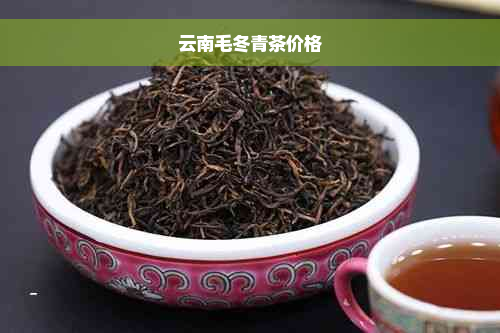 云南毛冬青茶价格