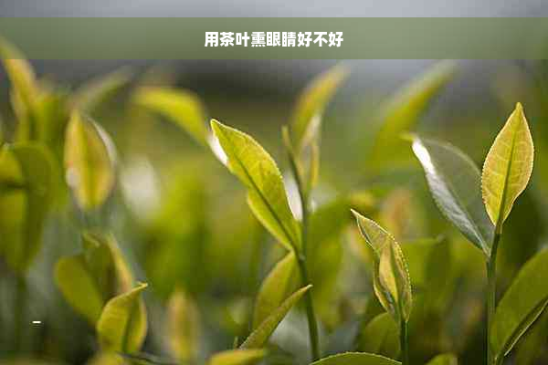 用茶叶熏眼睛好不好