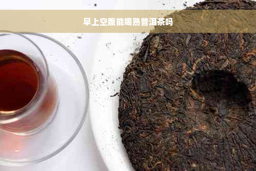 早上空腹能喝熟普洱茶吗