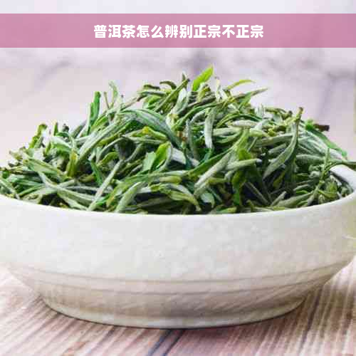 普洱茶怎么辨别正宗不正宗