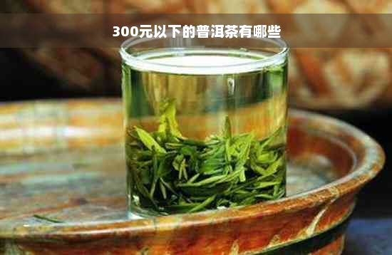 300元以下的普洱茶有哪些