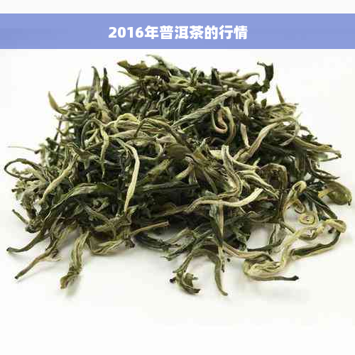 2016年普洱茶的行情