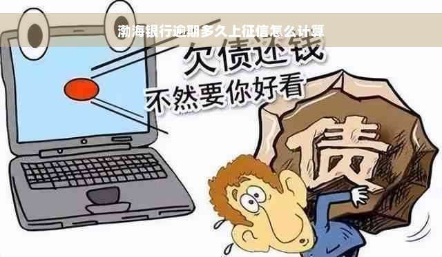 渤海银行逾期多久上征信怎么计算