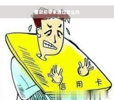 借款初审未通过怎么办