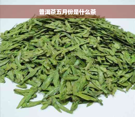 普洱茶五月份是什么茶