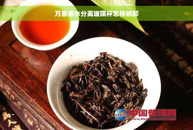 万象茶水分离玻璃杯怎样拆卸