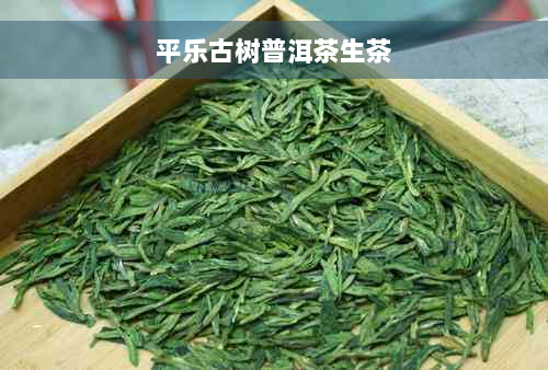 平乐古树普洱茶生茶