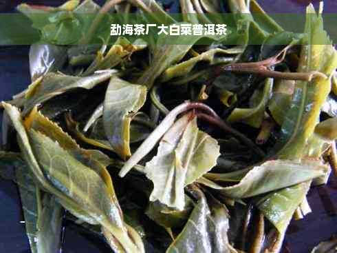 勐海茶厂大白菜普洱茶