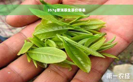 357g普洱茶生茶价格表