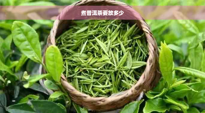 煮普洱茶要放多少