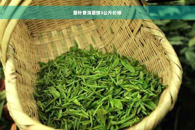 茶叶普洱茶饼3公斤价格