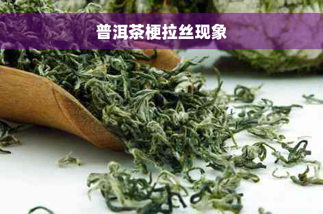 普洱茶梗拉丝现象