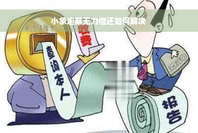 小象逾期无力偿还如何解决