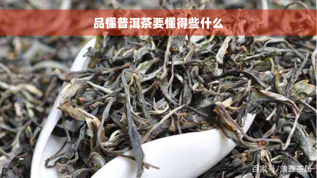 品懂普洱茶要懂得些什么